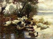 unknow artist Ducks 095 oil painting reproduction